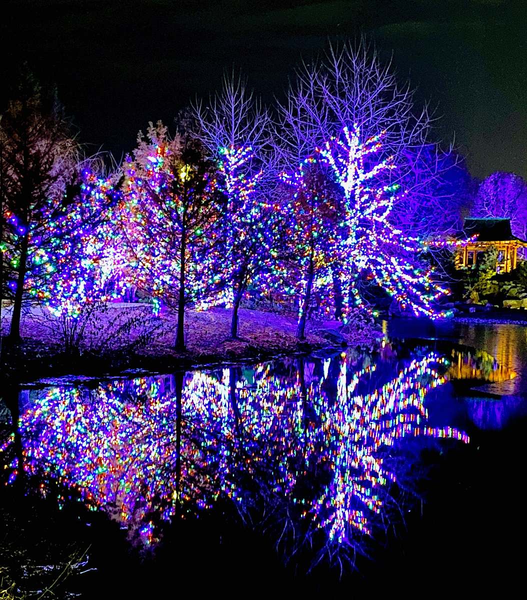 wellfield botanic gardens trees with string lights at night elkhart